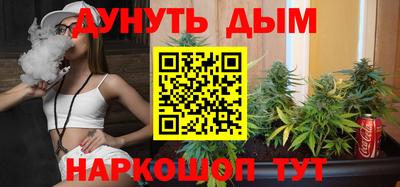 шишки Апшеронск